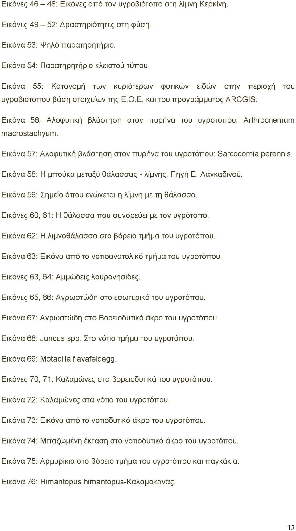 Δηθφλα 56: Αινθπηηθή βιάζηεζε ζηνλ ππξήλα ηνπ πγξνηφπνπ: Arthrocnemum macrostachyum. Δηθφλα 57: Αινθπηηθή βιάζηεζε ζηνλ ππξήλα ηνπ πγξνηφπνπ: Sarcocornia perennis.