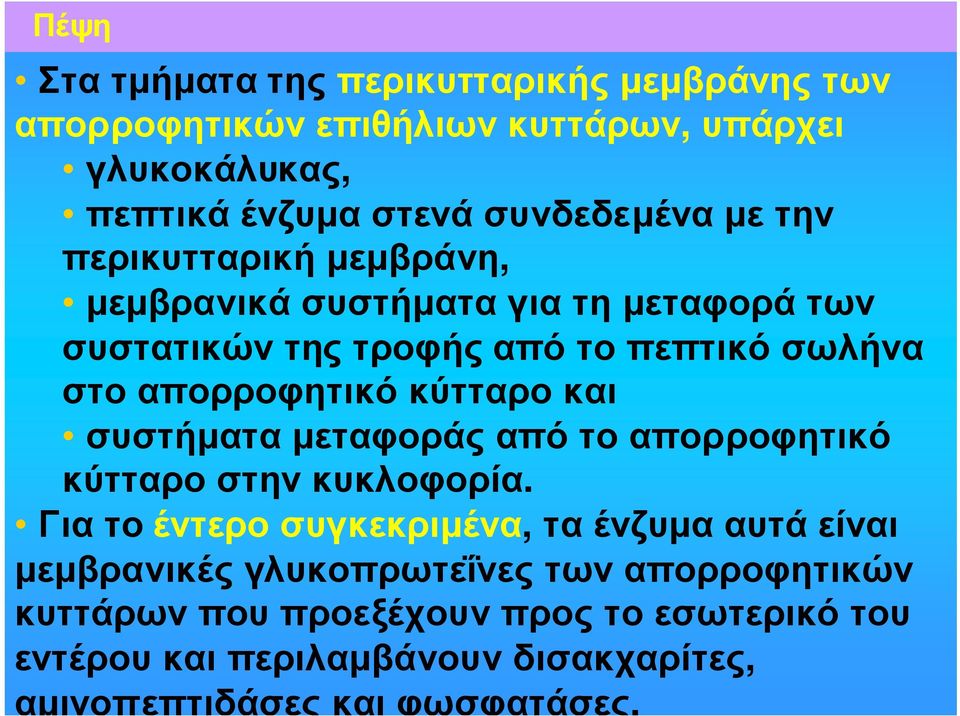 κύτταρο και συστήµατα µεταφοράς από το απορροφητικό κύτταροστηνκυκλοφορία.