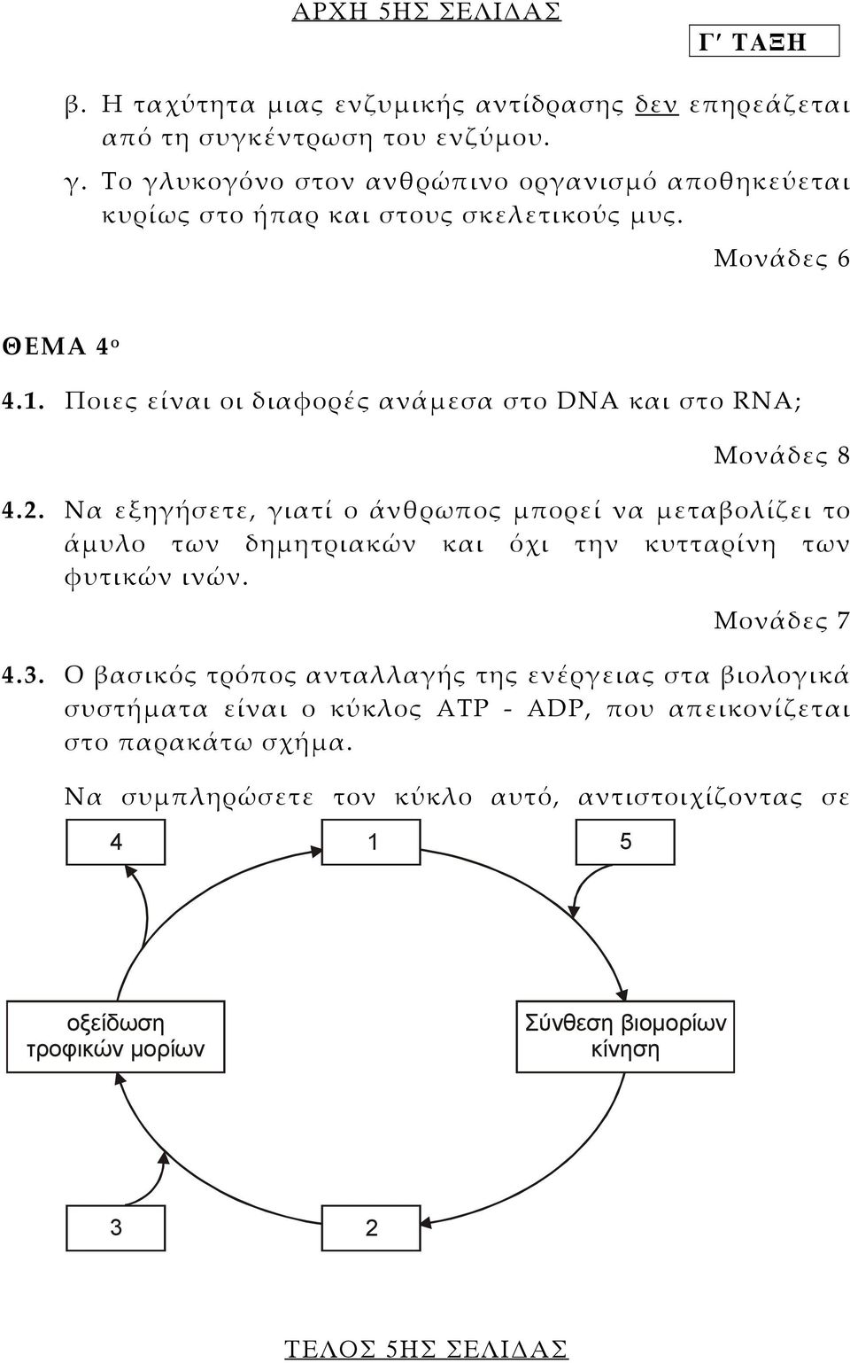 Ποιες είναι οι διαφορές ανάµεσα στο DNA και στο RNA; Μονάδες 8 4.2.