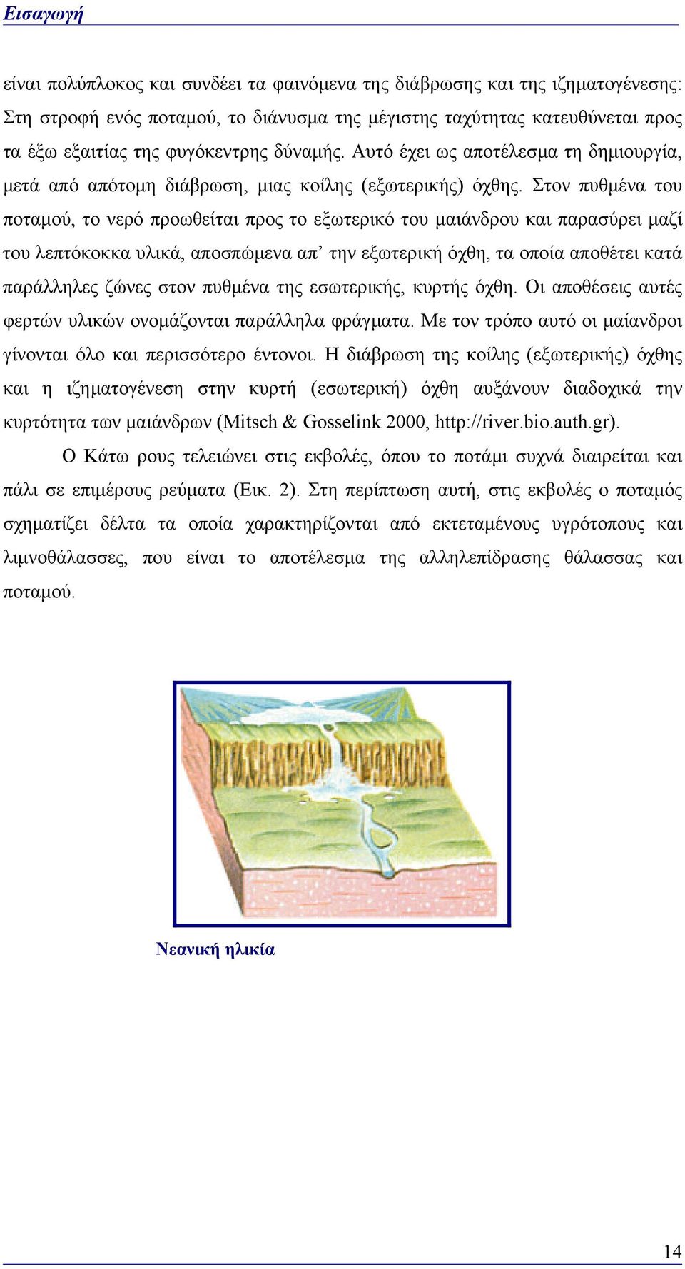 Στον πυθµένα του ποταµού, το νερό προωθείται προς το εξωτερικό του µαιάνδρου και παρασύρει µαζί του λεπτόκοκκα υλικά, αποσπώµενα απ την εξωτερική όχθη, τα οποία αποθέτει κατά παράλληλες ζώνες στον