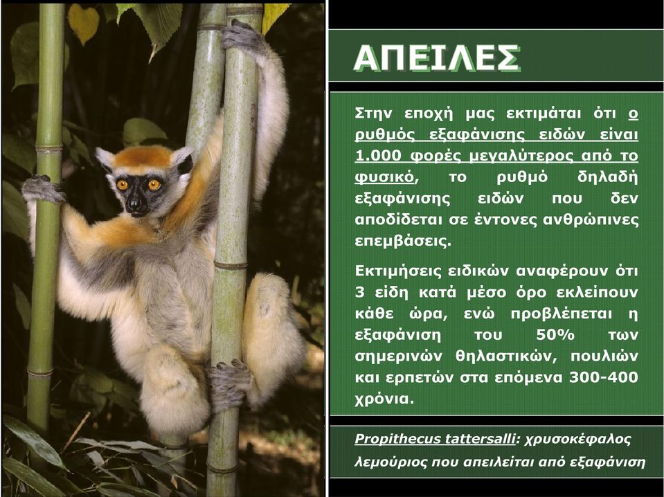 επεμβάσεις.