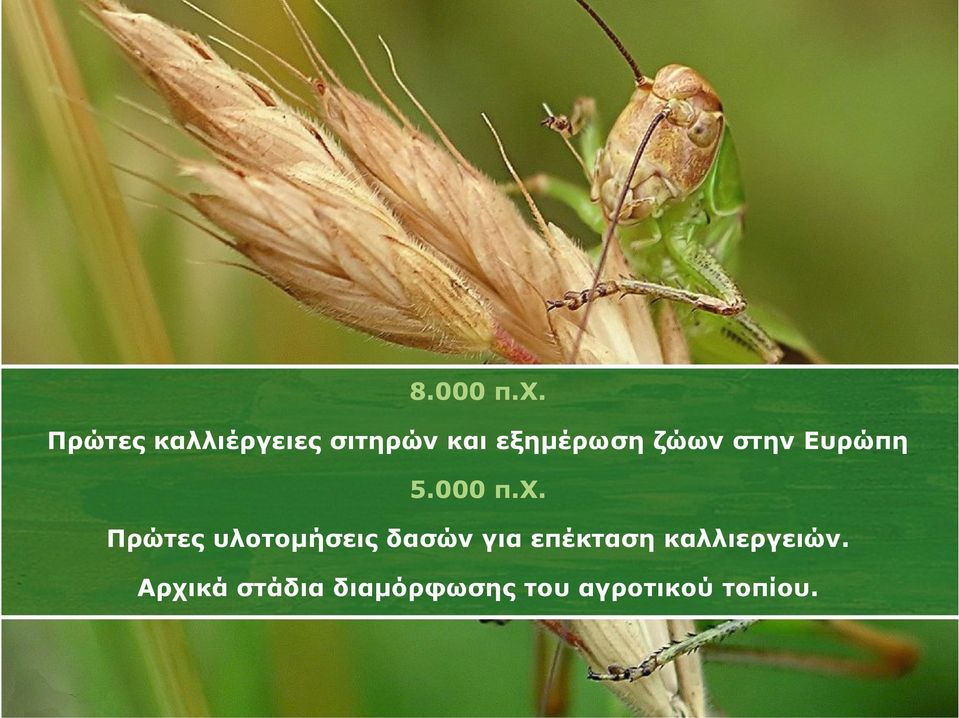 ζώων στην Ευρώπη 5.000 π.χ.