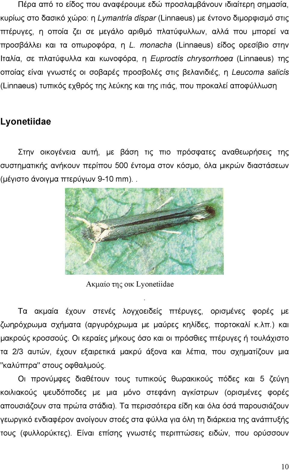 monacha (Linnaeus) είδος ορεσίβιο στην Ιταλία, σε πλατύφυλλα και κωνοφόρα, η Euproctίs chrysorrhοeα (Linnaeus) της οποίας είναι γνωστές οι σοβαρές προσβολές στις βελανιδιές, η Leucoma salicίs