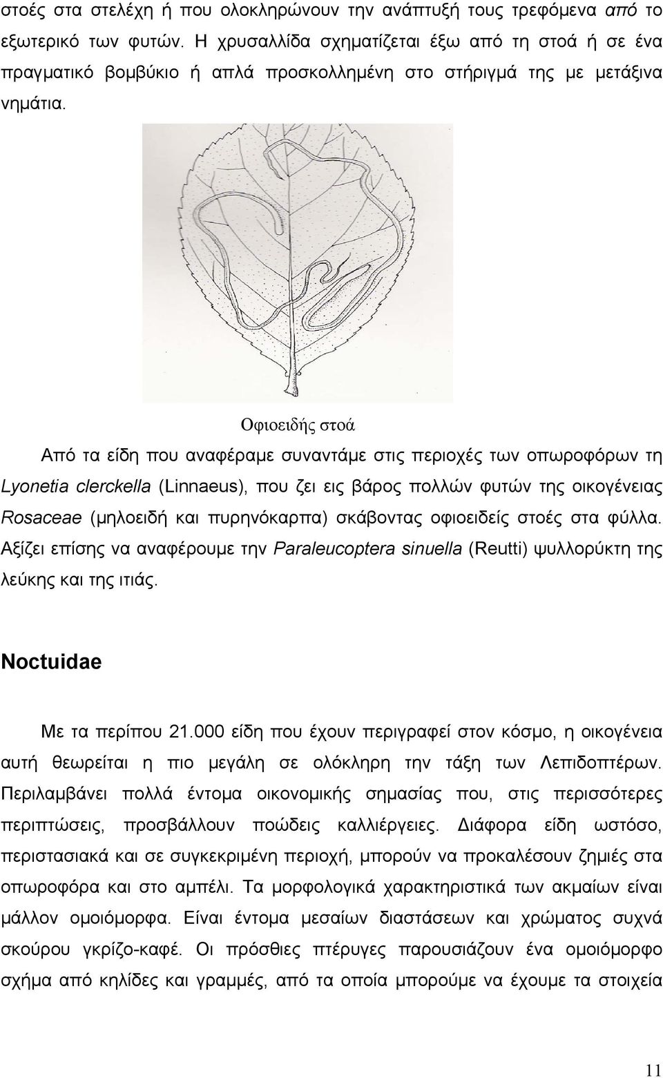 Οφιοειδής στοά Από τα είδη που αναφέραμε συναντάμε στις περιοχές των οπωροφόρων τη Lyonetia clerckella (Linnaeus), που ζει εις βάρος πολλών φυτών της οικογένειας Rosaceae (μηλοειδή και πυρηνόκαρπα)