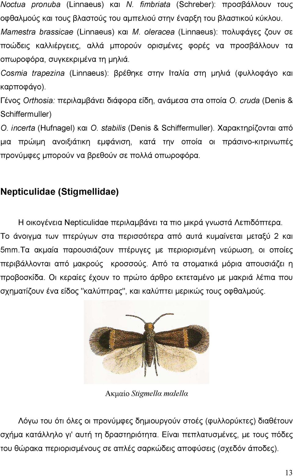 Cosmia trapezina (Linnaeus): βρέθηκε στην Ιταλία στη μηλιά (φυλλοφάγο και καρποφάγο). Γένος Orthosia: περιλαμβάνει διάφορα είδη, ανάμεσα στα οποία Ο. cruda (Denis & Schiffermuller) Ο.