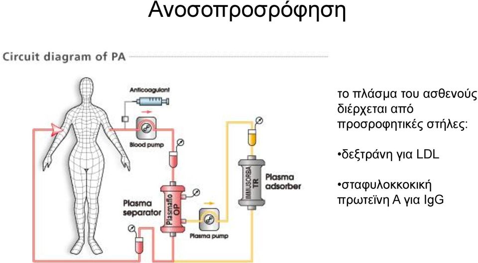 προσροφητικές στήλες: δεξτράνη