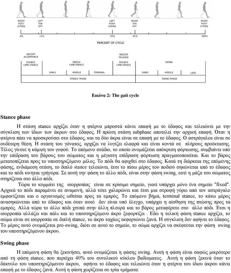 Η στάση του γόνατος, αρχίζει να λυγίζει ελαφρά και είναι κοντά σε πλήρους προέκτασης. Τέλος γίνετε η κάμψη του γοφού.