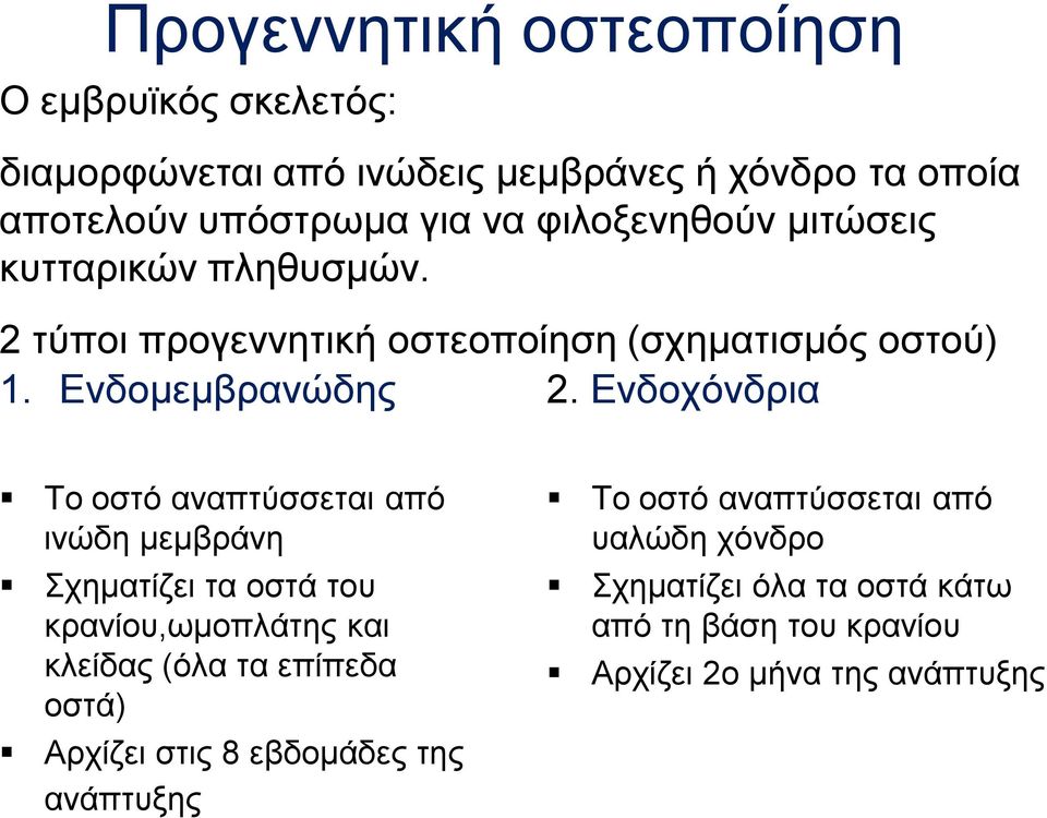 Ενδοχόνδρια Το οστό αναπτύσσεται από ινώδη μεμβράνη Σχηματίζει τα οστά του κρανίου,ωμοπλάτης και κλείδας (όλα τα επίπεδα οστά)