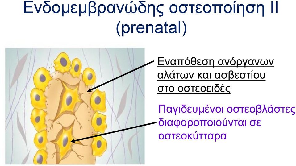 και ασβεστίου στο οστεοειδές