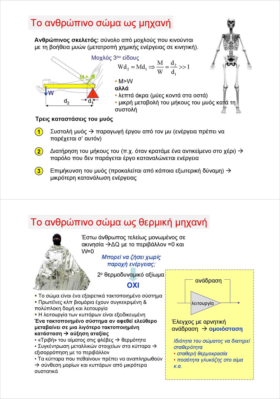 ός 3 ου είδους M d Wd = Md = >> W d Συστολή μυός παραγωγή έργου από τον μυ (ενέργεια πρέπει να παρέχε