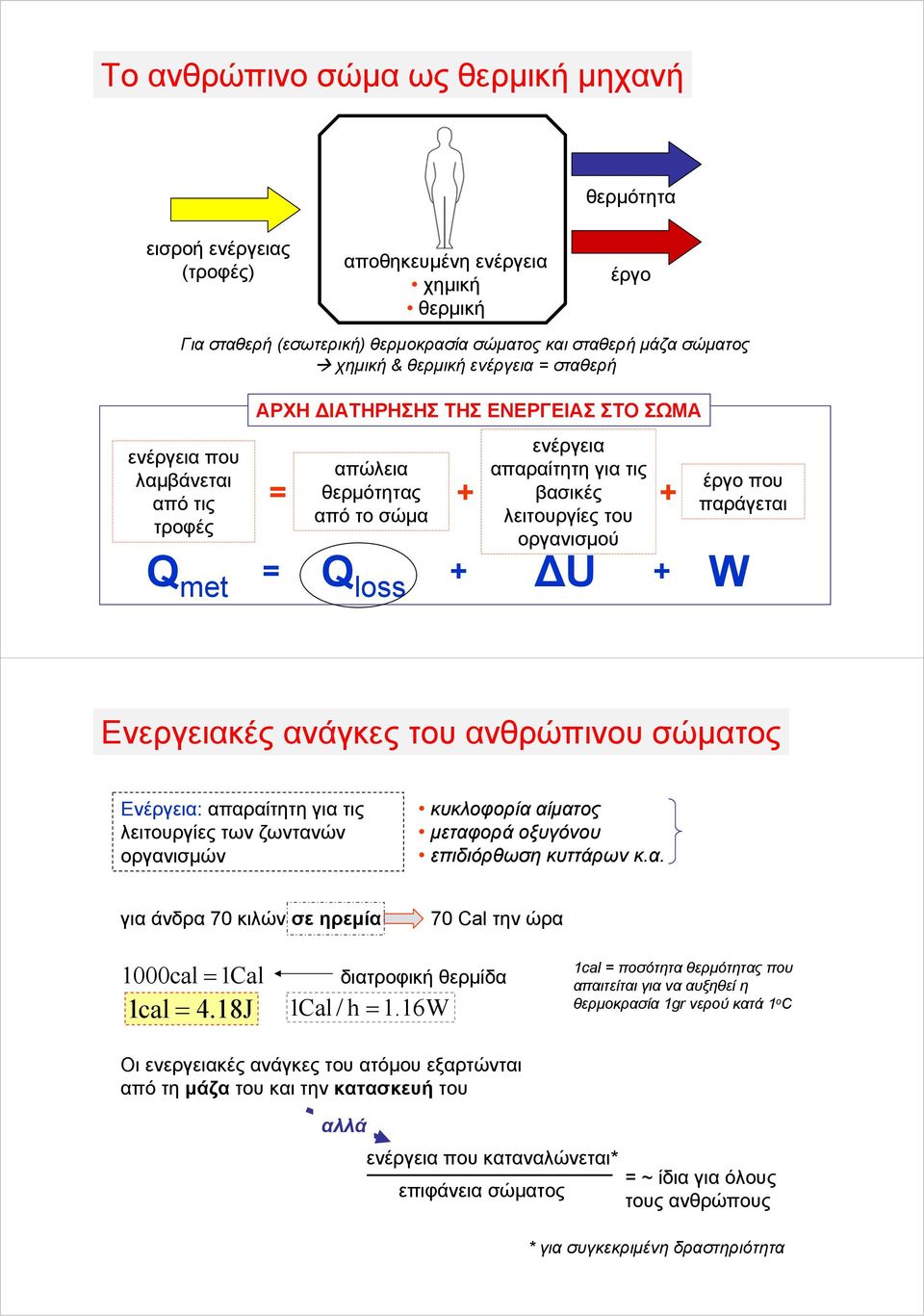 met Q loss + + έργο που παράγεται = + ΔU W Ενεργειακές ανάγκες του ανθρώπινου σώματος Ενέργεια: απαραίτητη για τις λειτουργίες των ζωντανών οργανισμών κυκλοφορία αίματος μεταφορά οξυγόνου επιδιόρθωση