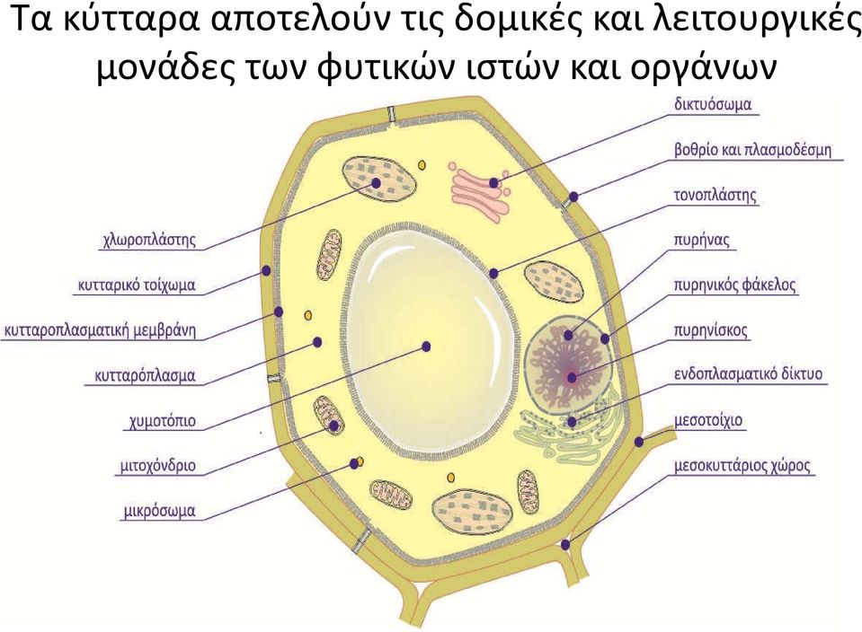 λειτουργικές μονάδες