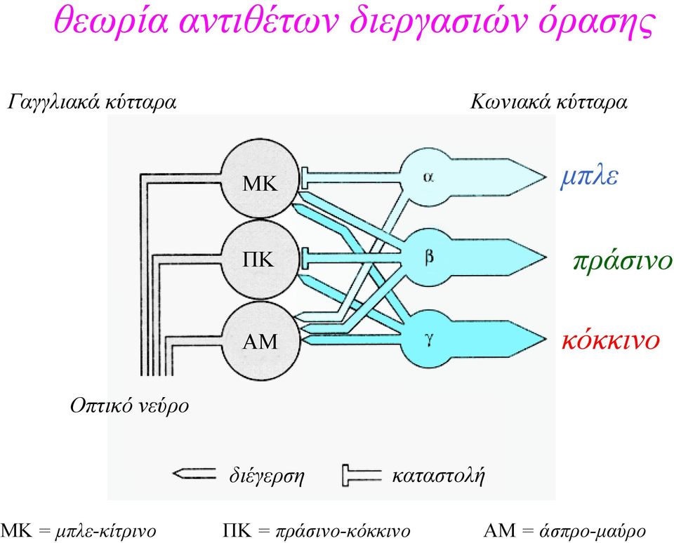 κόκκινο Οπτικό νεύρο διέγερση καταστολή ΜΚ =