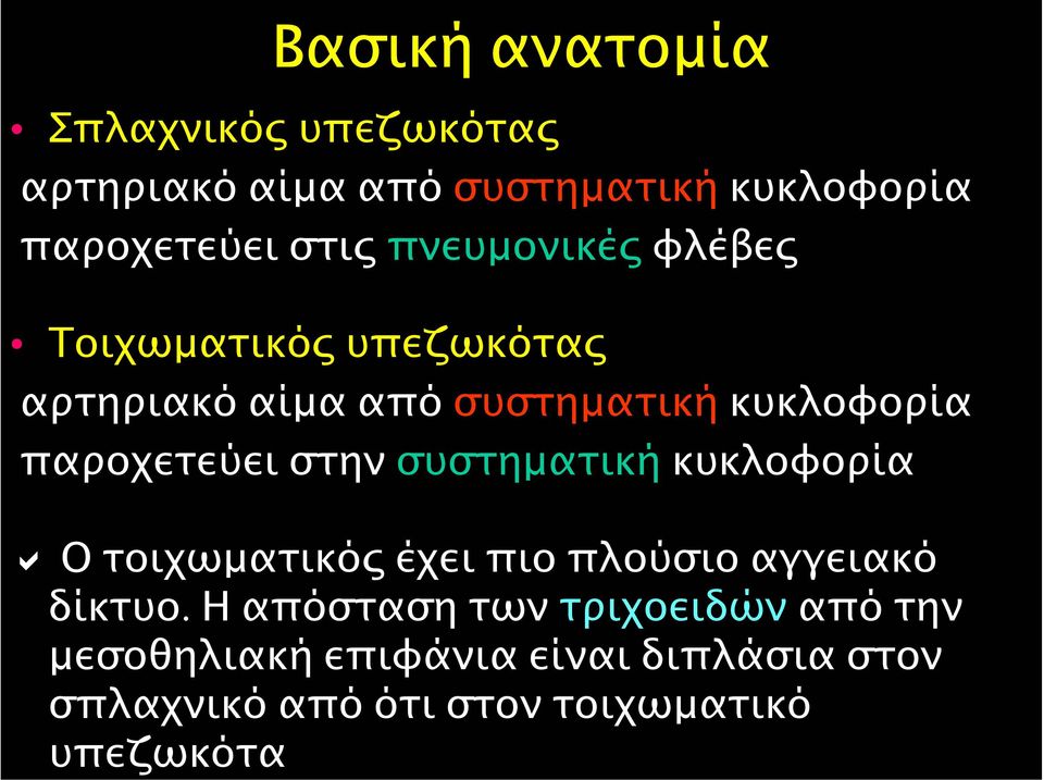 στην συστηµατική κυκλοφορία Οτοιχωµατικός έχει πιο πλούσιο αγγειακό δίκτυο.