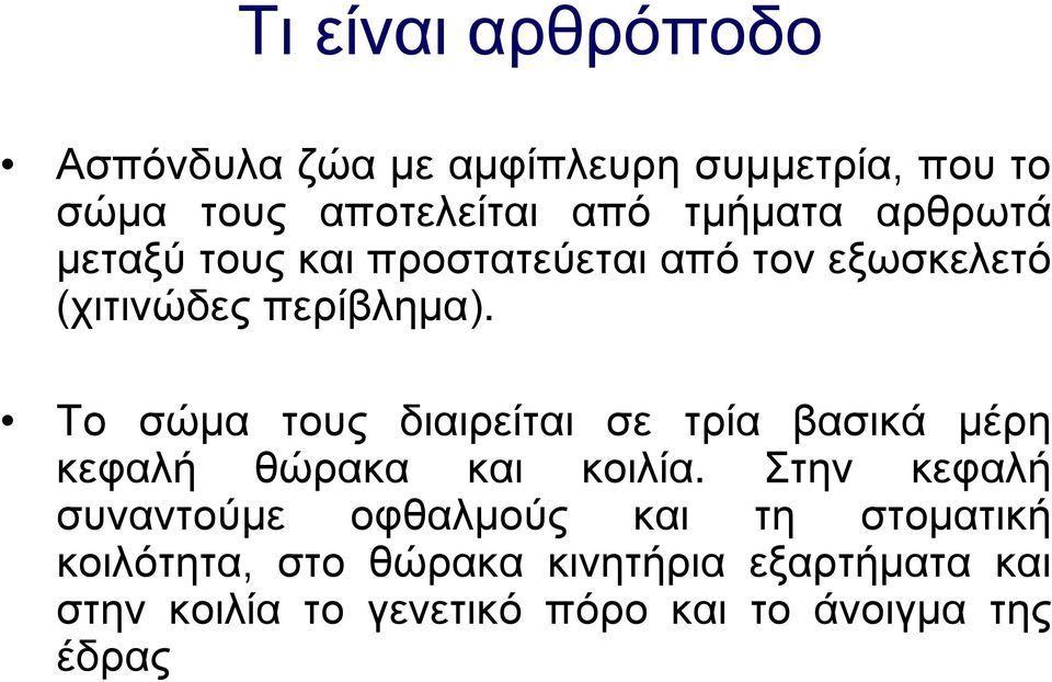 Το σώμα τους διαιρείται σε τρία βασικά μέρη κεφαλή θώρακα και κοιλία.