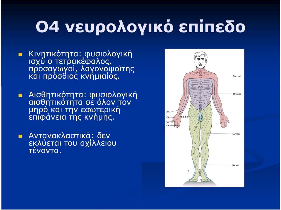 Αισθητικότητα: φυσιολογική αισθητικότητα σε όλον τον μηρό και την