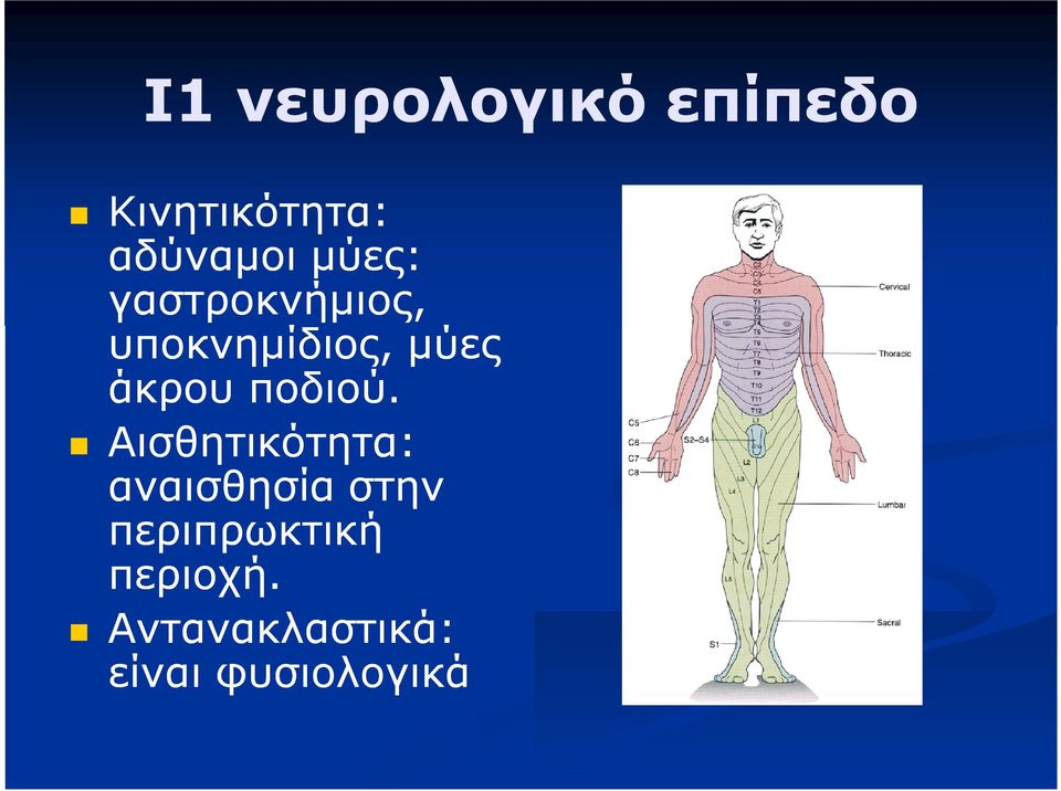 ποδιού.