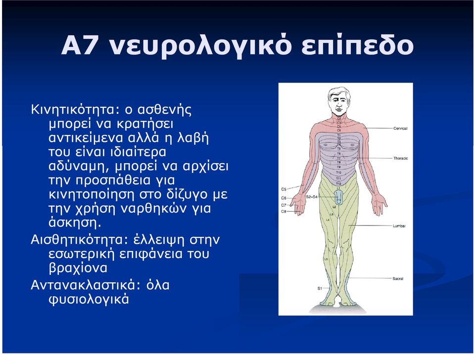 προσπάθεια για κινητοποίηση στο δίζυγο με την χρήση ναρθηκών για άσκηση.