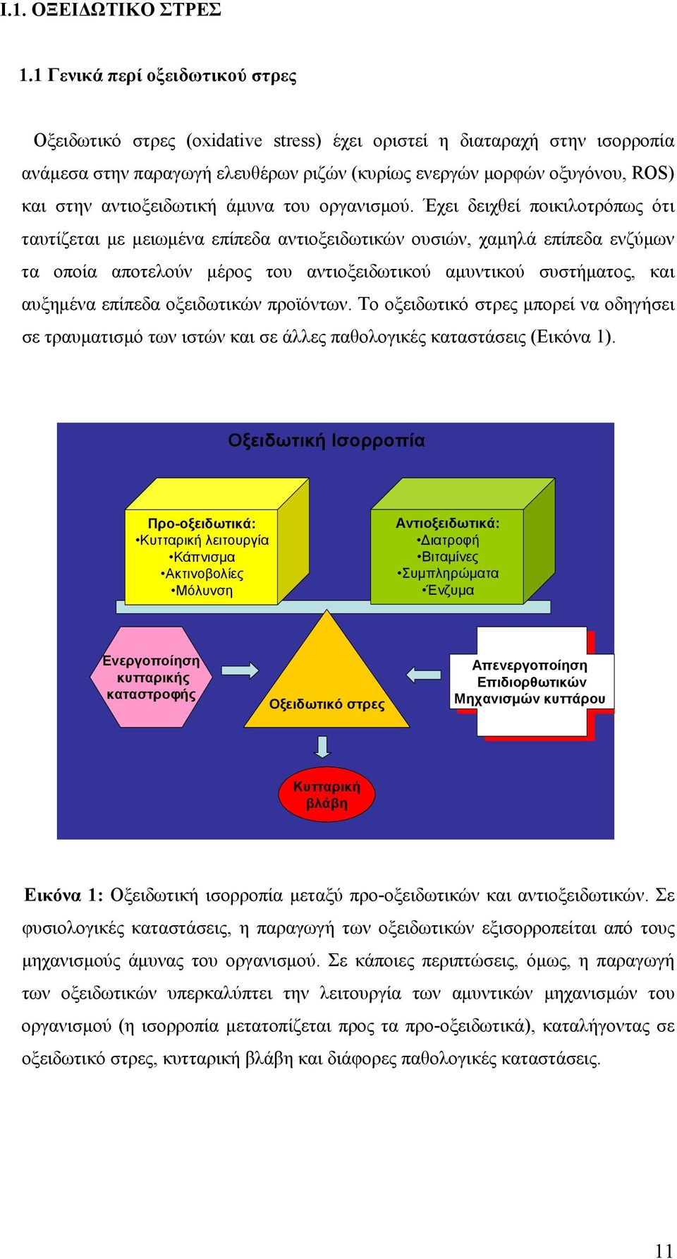 αντιοξειδωτική άμυνα του οργανισμού.