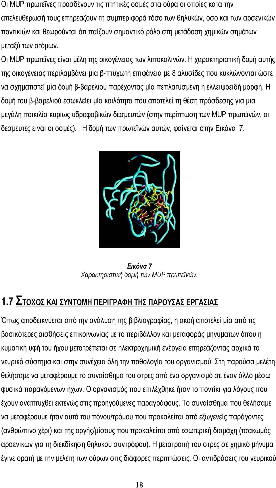 Η χαρακτηριστική δομή αυτής της οικογένειας περιλαμβάνει μία β-πτυχωτή επιφάνεια με 8 αλυσίδες που κυκλώνονται ώστε να σχηματιστεί μία δομή β-βαρελιού παρέχοντας μία πεπλατυσμένη ή ελλειψοειδή μορφή.