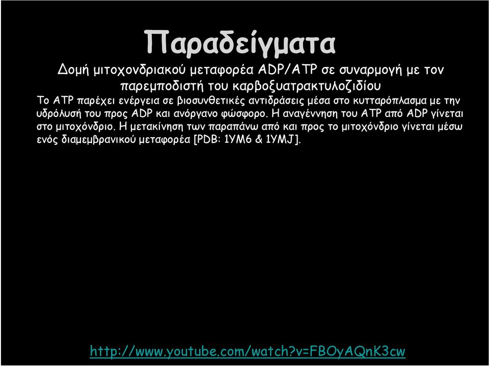 ανόργανο φώσφορο. Η αναγέννηση του ATP από ADP γίνεται στο μιτοχόνδριο.