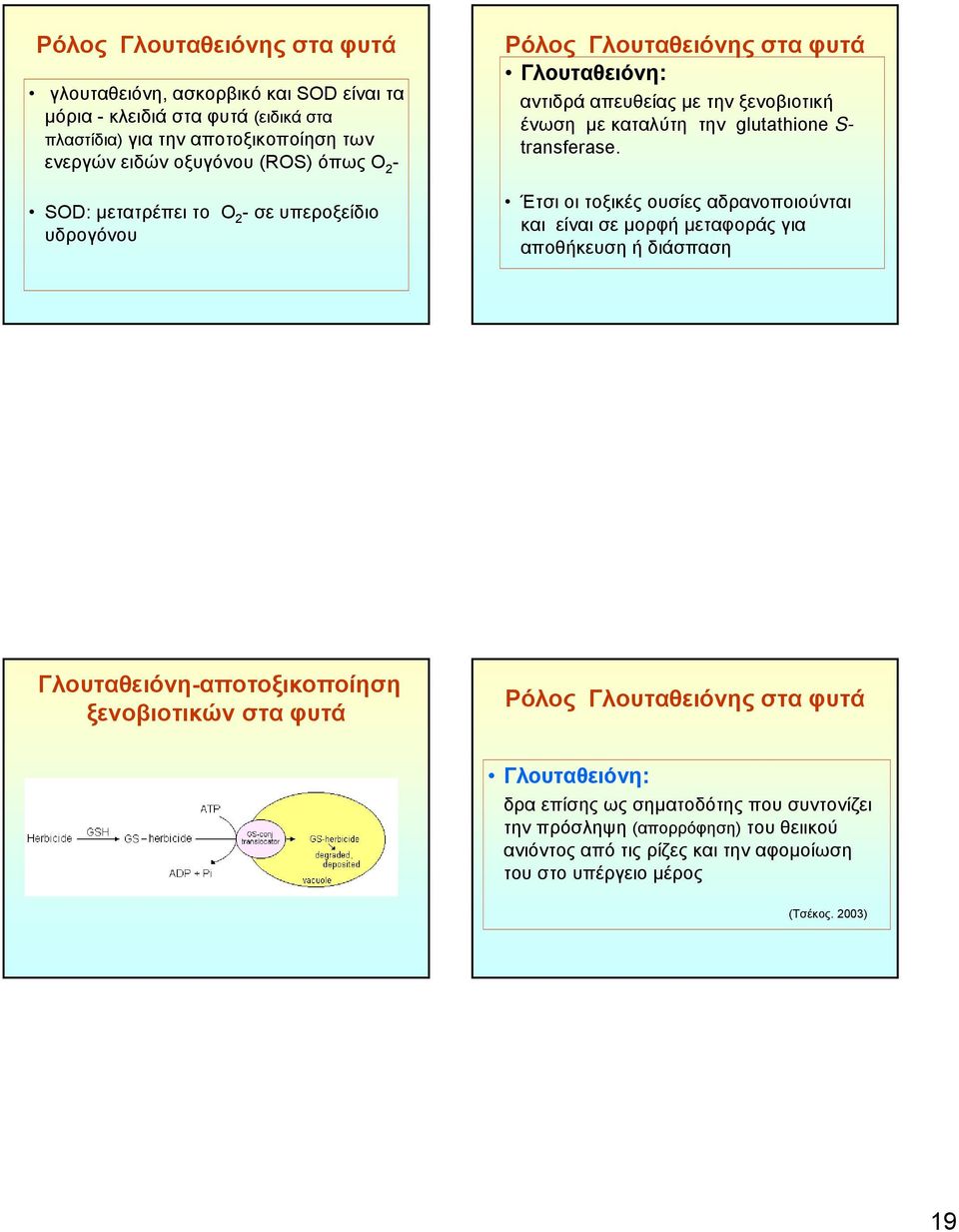 transferase.