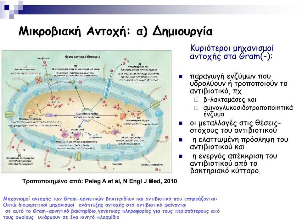 και η ενεργός απέκκριση του αντιβιοτικού από το βακτηριακό κύτταρο.