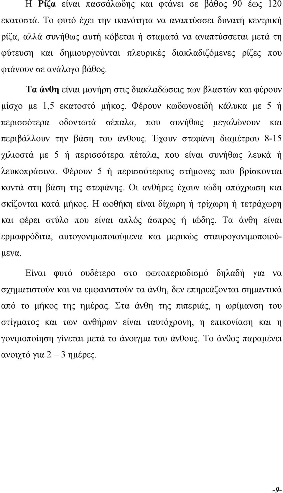 ανάλογο βάθος. Τα άνθη είναι µονήρη στις διακλαδώσεις των βλαστών και φέρουν µίσχο µε 1,5 εκατοστό µήκος.