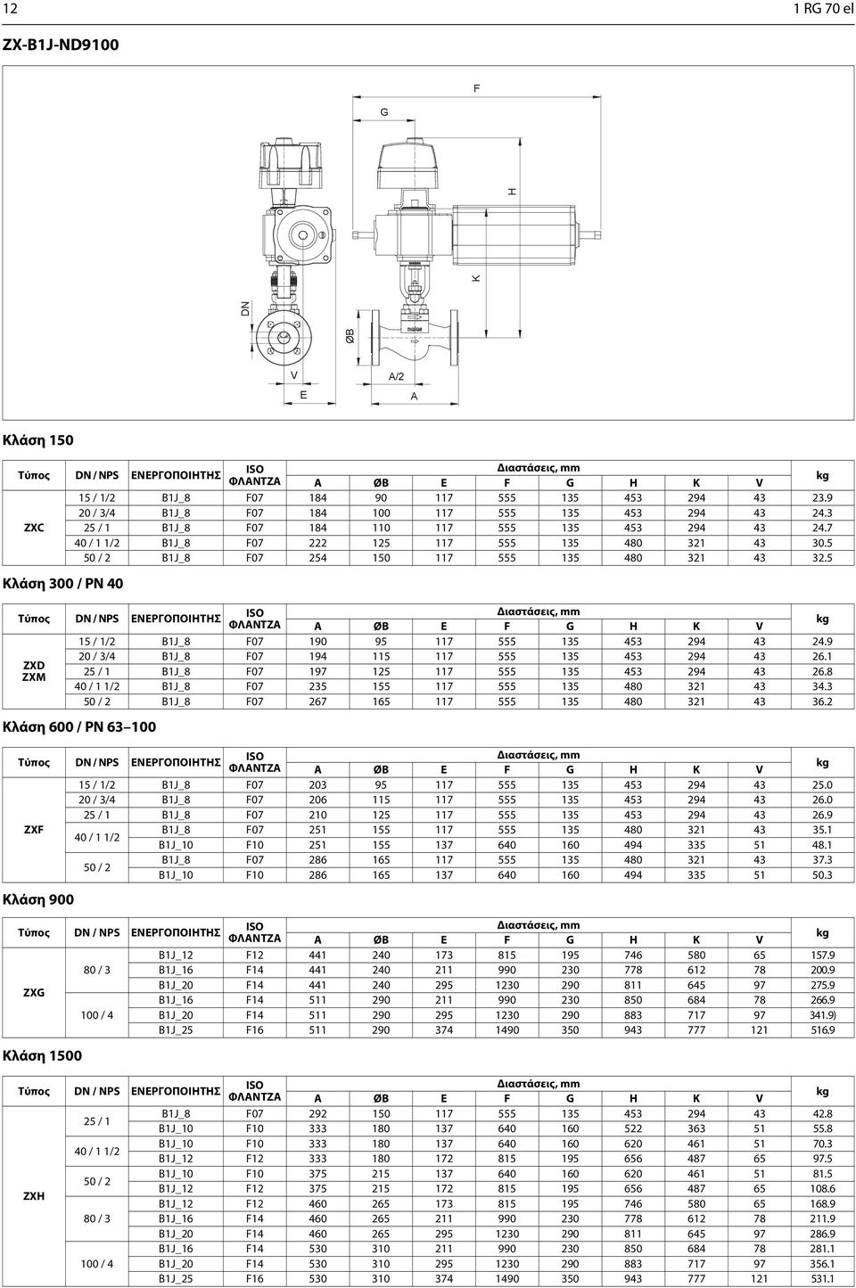 5 Κλάση 300 / PN 40 ZXD ZXM Κλάση 600 / PN 63 100 Κλάση 900 Κλάση 1500 15 / 1/2 B1J_8 F07 190 95 117 555 135 453 294 43 24.9 20 / 3/4 B1J_8 F07 194 115 117 555 135 453 294 43 26.