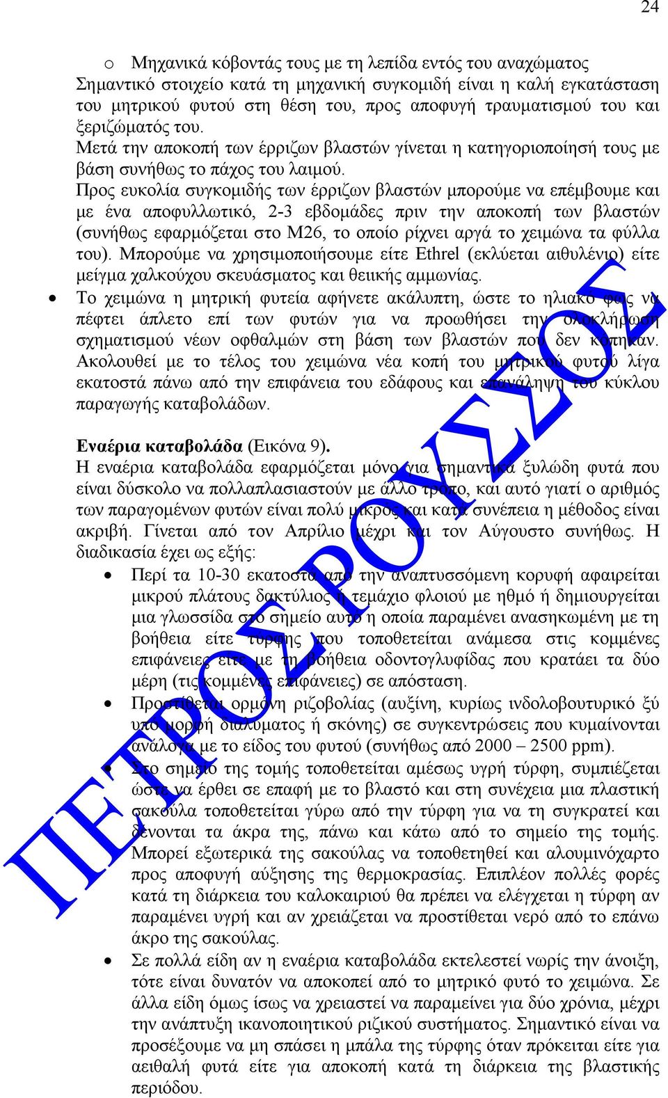 Προς ευκολία συγκοµιδής των έρριζων βλαστών µπορούµε να επέµβουµε και µε ένα αποφυλλωτικό, 2-3 εβδοµάδες πριν την αποκοπή των βλαστών (συνήθως εφαρµόζεται στο Μ26, το οποίο ρίχνει αργά το χειµώνα τα