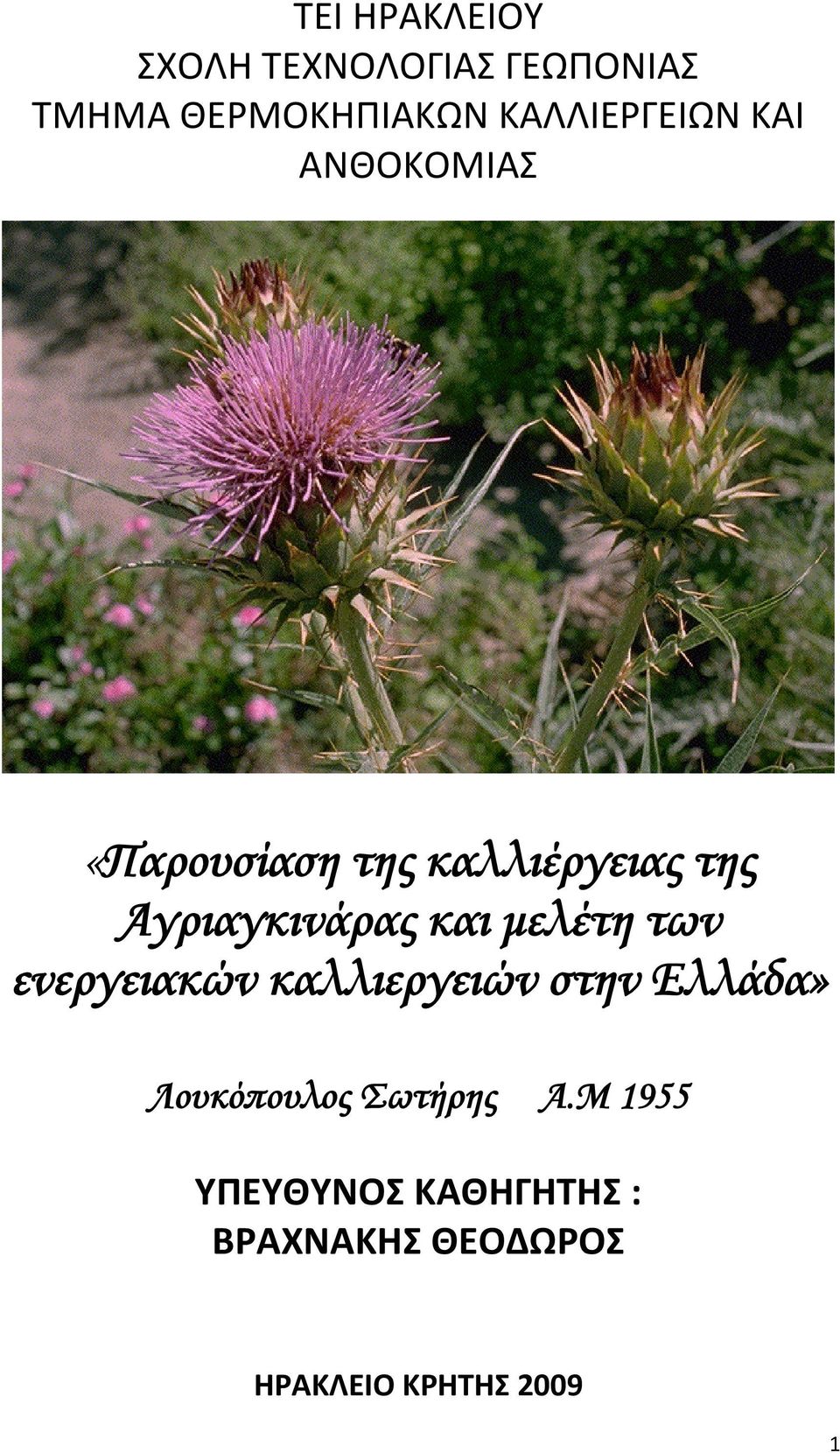 Αγριαγκινάρας και μελέτη των ενεργειακών καλλιεργειών στην Ελλάδα»