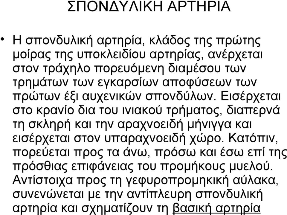 Εισέρχεται στο κρανίο δια του ινιακού τρήματος, διαπερνά τη σκληρή και την αραχνοειδή μήνιγγα και εισέρχεται στον υπαραχνοειδή χώρο.
