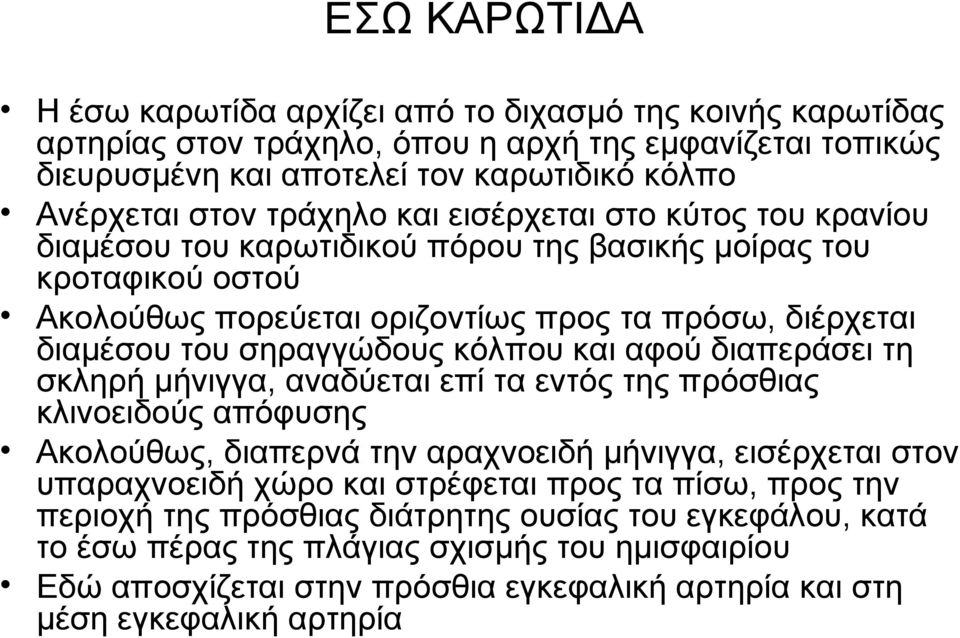 κόλπου και αφού διαπεράσει τη σκληρή μήνιγγα, αναδύεται επί τα εντός της πρόσθιας κλινοειδούς απόφυσης Ακολούθως, διαπερνά την αραχνοειδή μήνιγγα, εισέρχεται στον υπαραχνοειδή χώρο και στρέφεται