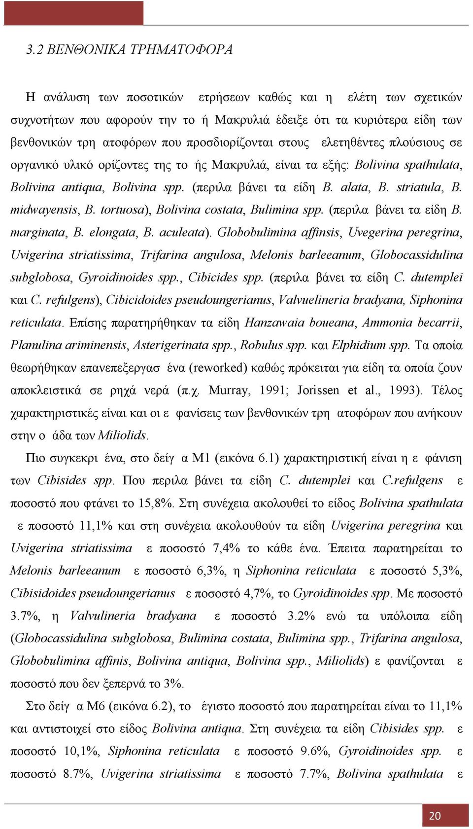 striatula, B. midwayensis, B. tortuosa), Bolivina costata, Bulimina spp. (περιλαμβάνει τα είδη B. marginata, B. elongata, B. aculeata).