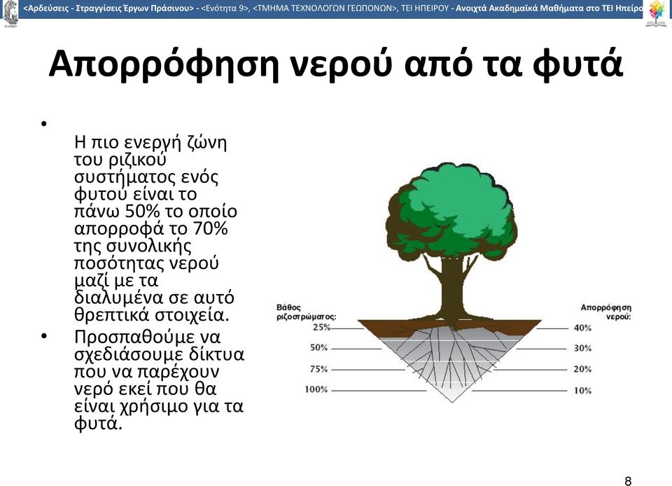 νερού μαζί με τα διαλυμένα σε αυτό θρεπτικά στοιχεία.