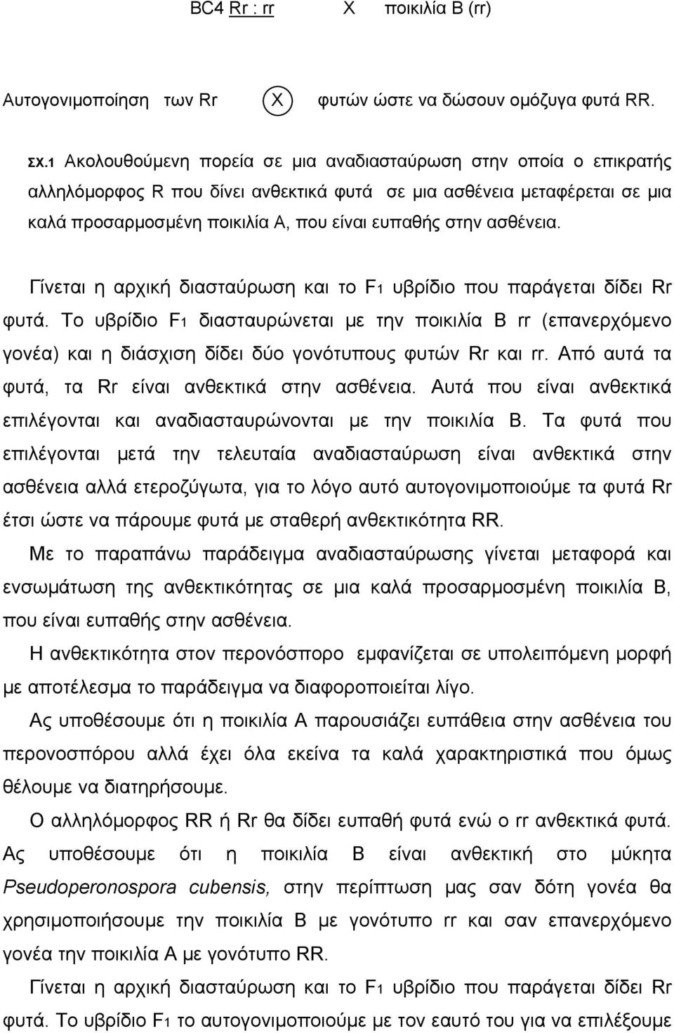 ασθένεια. Γίνεται η αρχική διασταύρωση και το F1 υβρίδιο που παράγεται δίδει Rr φυτά.