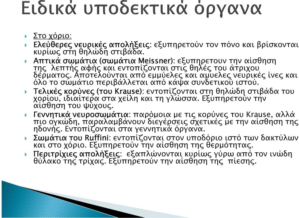 Αποτελούνται από εµµύελε και αµυελε νευρικέ ίνε και όλο το σωµάτιο περιβάλλεται από κάψα συνδετικού ιστού.