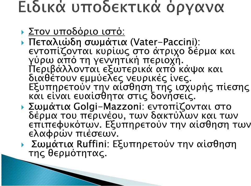 Εξυπηρετούν την αίσθηση τη ισχυρή πίεση και είναι ευαίσθητα στι δονήσει.