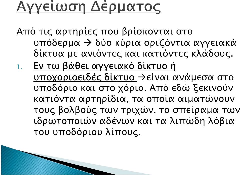 Εν τω βάθει αγγειακό δίκτυο ή υποχοριοειδέ δίκτυο είναι ανάµεσα στο υποδόριο και στο χόριο.