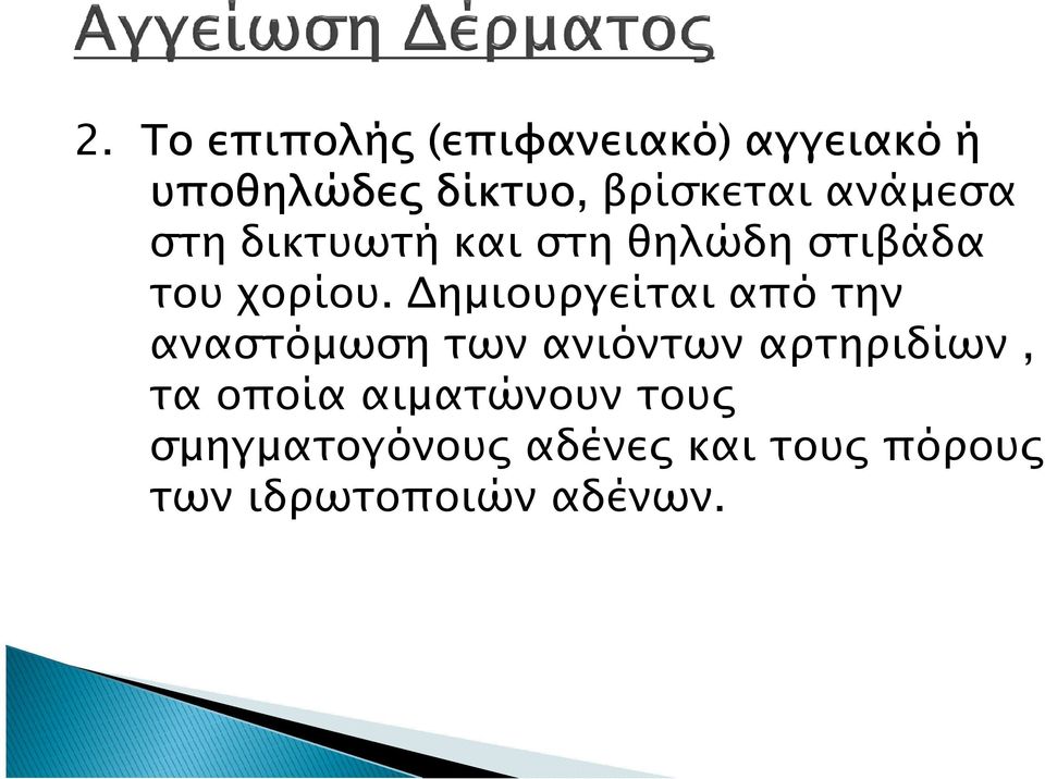 ηµιουργείται από την αναστόµωση των ανιόντων αρτηριδίων, τα οποία