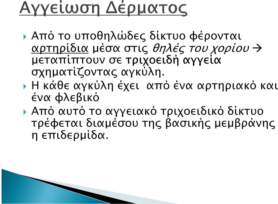 Η κάθε αγκύλη έχει από ένα αρτηριακό και ένα φλεβικό Από αυτό το