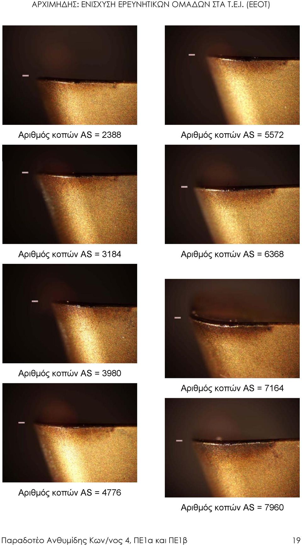 3980 Αριθµός κοπών AS = 7164 Αριθµός κοπών AS = 4776