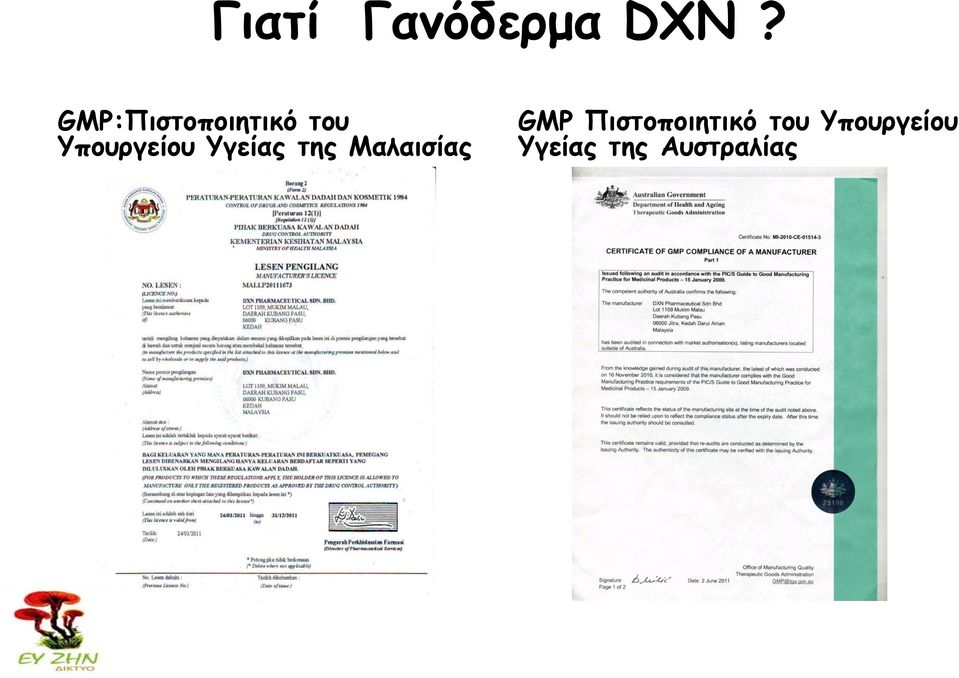 Υγείας της Μαλαισίας GMP