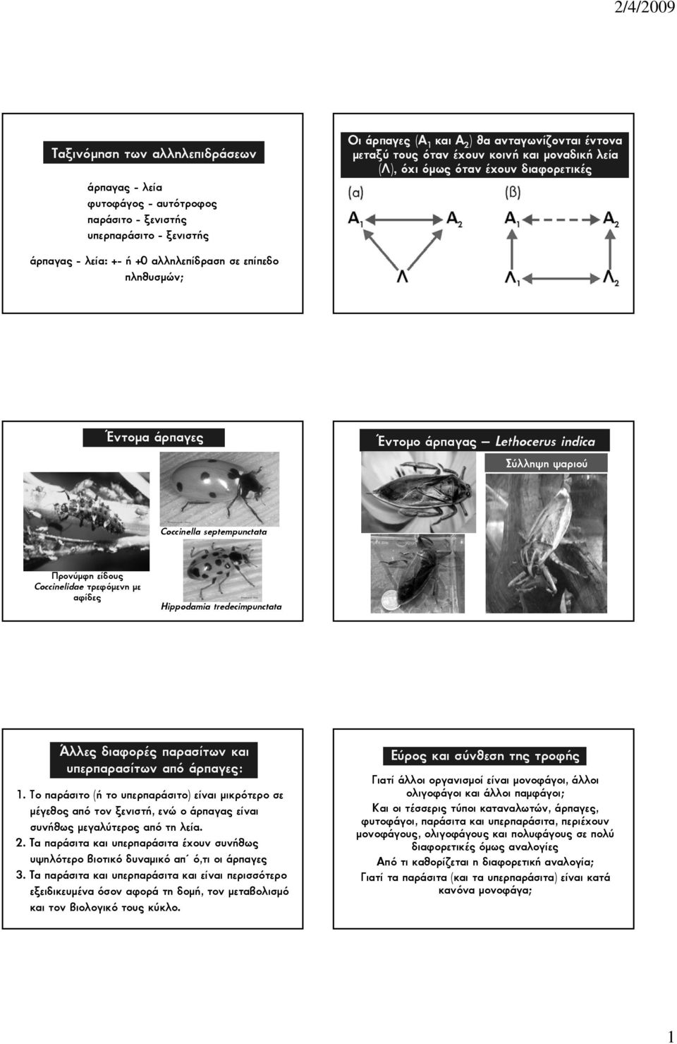 Ðñïíýìöç åßäïõò Coccinelidae ôñåöüìåíç ìå áößäåò Hippodamia tredecimpunctata ëëåò äéáöïñýò ðáñáóßôùí êáé õðåñðáñáóßôùí áðü Üñðáãåò: 1.