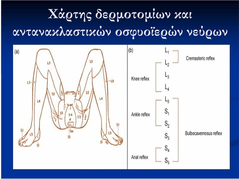 και