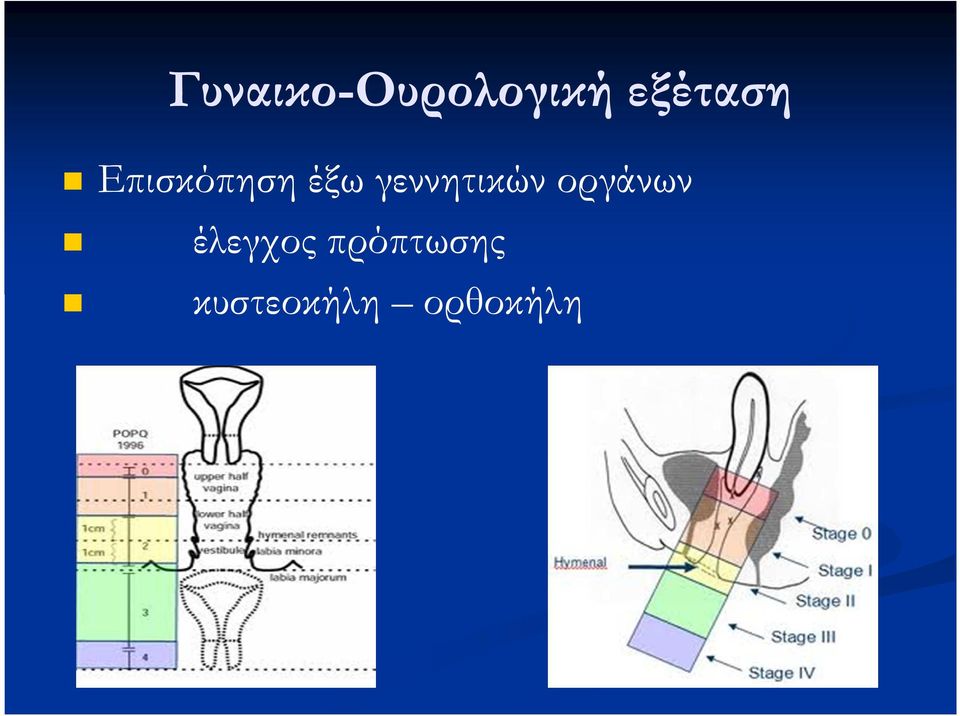 γεννητικών οργάνων