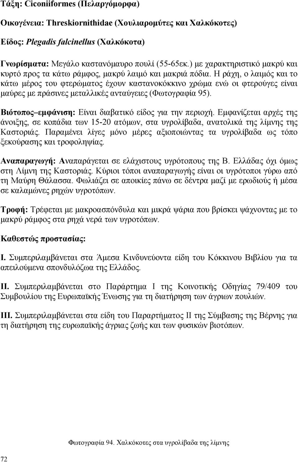 Η ράχη, ο λαιµός και το κάτω µέρος του φτερώµατος έχουν καστανοκόκκινο χρώµα ενώ οι φτερούγες είναι µαύρες µε πράσινες µεταλλικές ανταύγειες (Φωτογραφία 95).