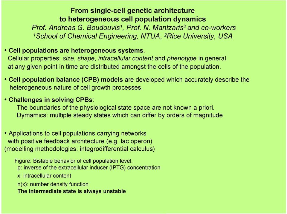 Cellular properties: size, shape, intracellular content and phenotype in general at any given point in time are distributed amongst the cells of the population.