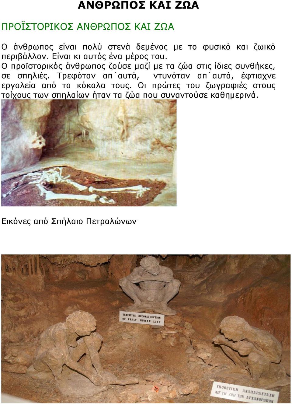 Ο προϊστορικός άνθρωπος ζούσε μαζί με τα ζώα στις ίδιες συνθήκες, σε σπηλιές.
