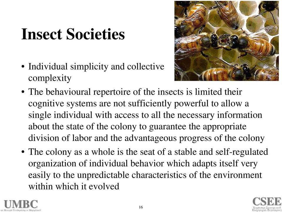 the appropriate division of labor and the advantageous progress of the colony The colony as a whole is the seat of a stable and self-regulated